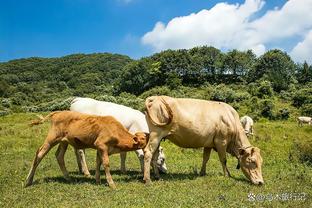 纽卡vs米兰首发：吉鲁、莱奥先发，戈登、阿尔米隆出战